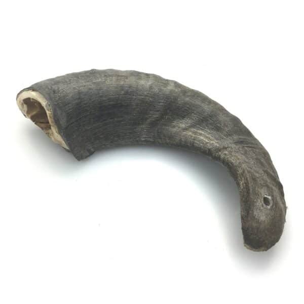 Corne de mouton jaglu pleine