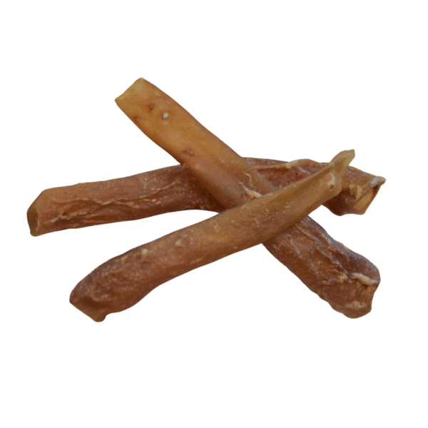 Aorte de boeuf