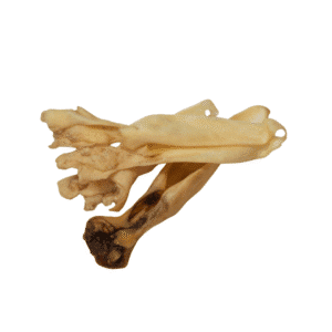 Oreilles d'agneau