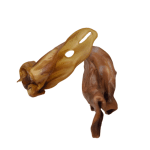 Oreille de chameau