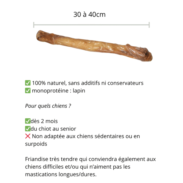 Peau de lapin roulée – Image 2