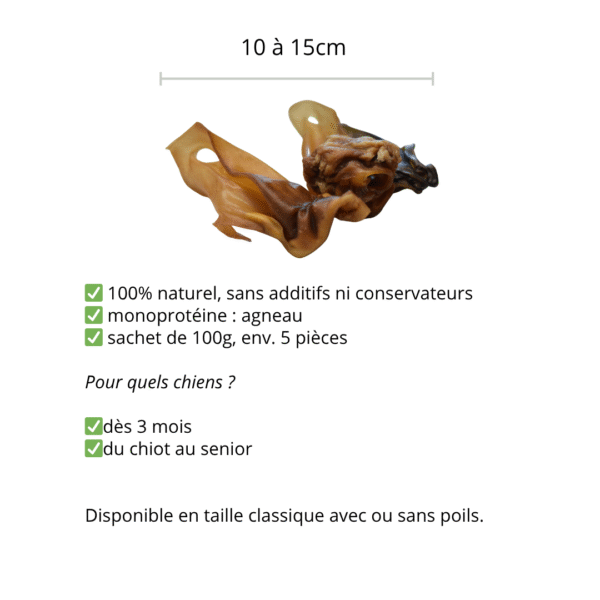 Oreilles d'agneau XL – Image 2