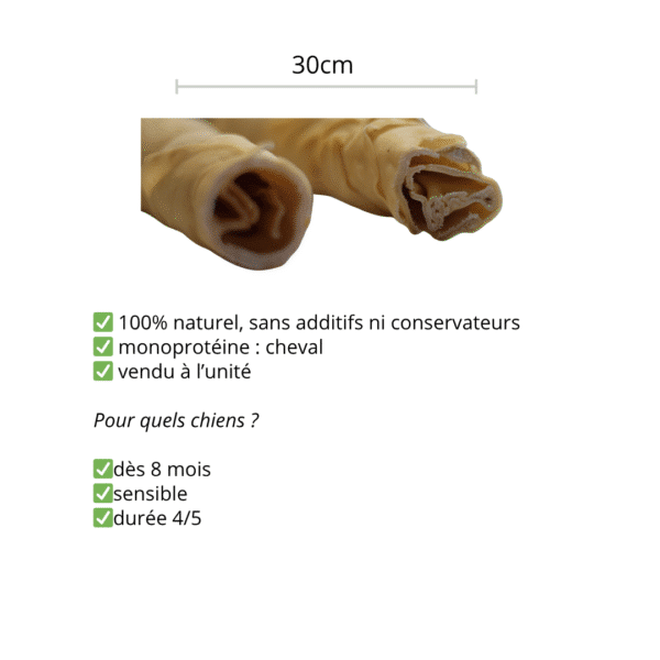 Peau de cheval roulée 30cm – Image 2