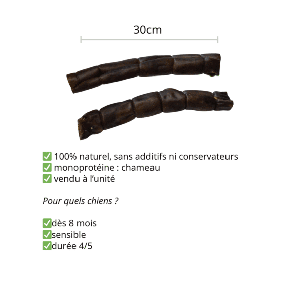 Peau de chameau roulée 30cm – Image 2