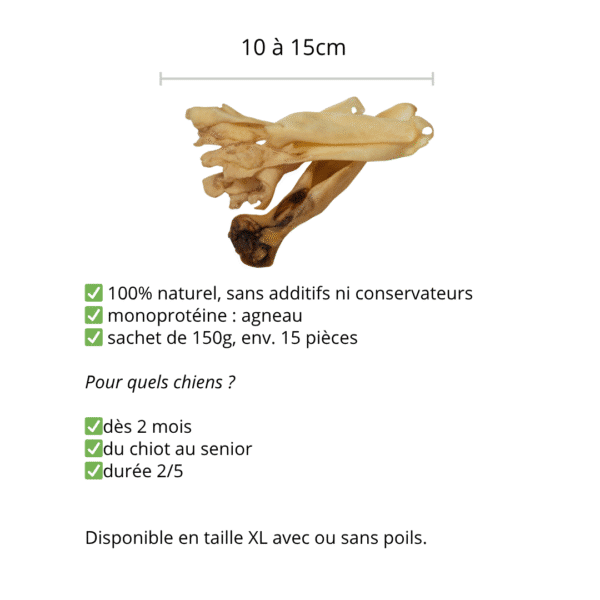 Oreilles d'agneau – Image 2
