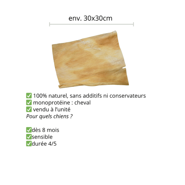 Chips de cheval XL – Image 2