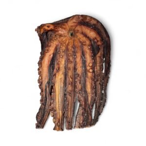 Calamar plat
